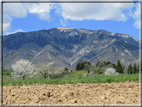 foto Paesaggi Collinari in Primavera